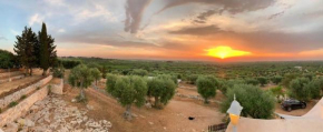 B & B Monte Adamo Conversano